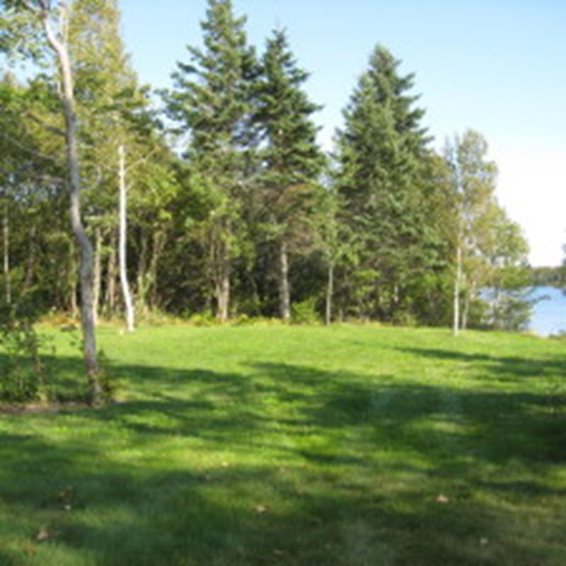 1:1 225x225 Low Resolution Image Test