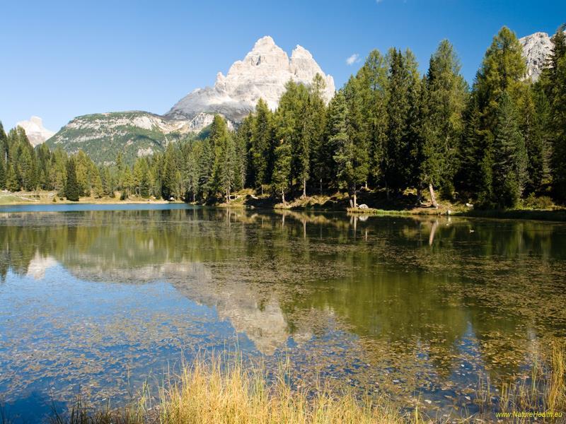 4:3 640x480 Image Test